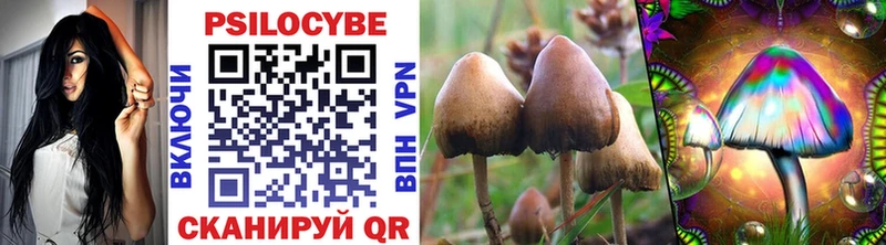 Псилоцибиновые грибы Magic Shrooms ссылка на мегу ТОР Краснослободск где купить наркоту